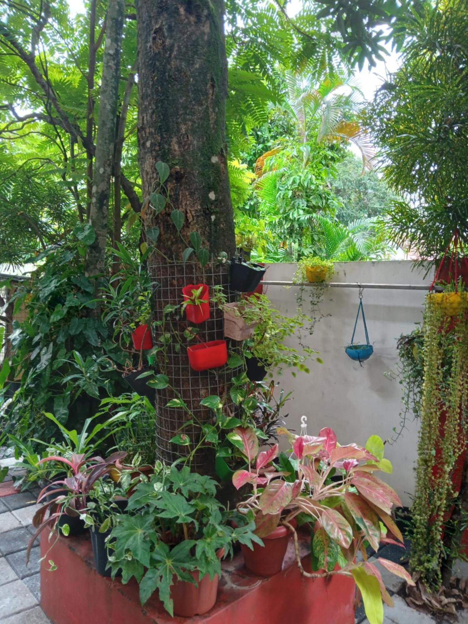 Gerards Home Stay Fortkochi Exteriér fotografie
